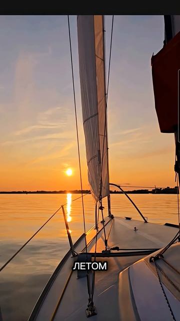 20 апреля 2026 #гороскопсегодня