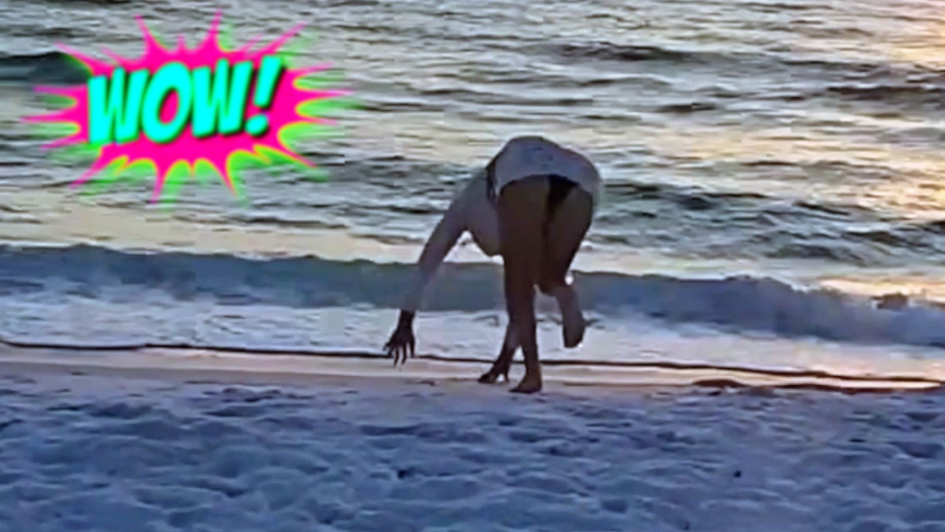 "ПРИКОЛЫ НА ЛЮБОЙ ВКУС: СМЕШНЫЕ ВИДЕО ДЛЯ ВСЕХ"