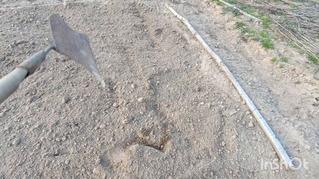 Я посетили кладбище, посадили немного картошки,19.04.26