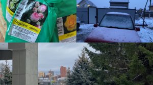 Язык работает независимо от мозгов😂 Что купила в Светофоре🛒