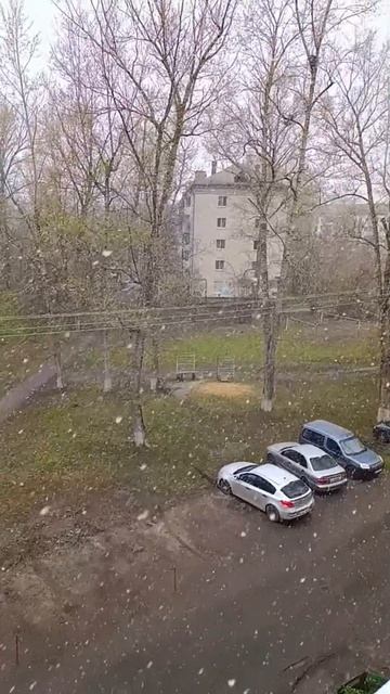20 апреля...
снег идёт...