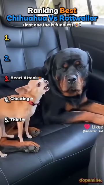 Смех без игр