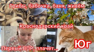 Купили дом. Первый ВПР. Софья расстроилась. Грибной день. Выпускной. В баню хочу. Жизнь на юге.