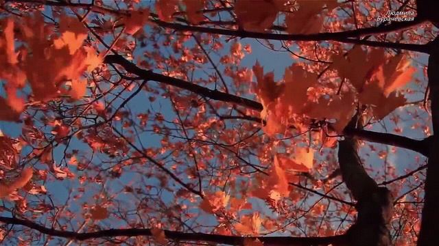 Осенний листопад-Слова, музыка-Людмилы Бурачевской,вокал-Нины Вараксиной.