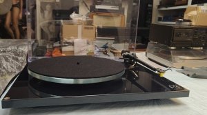 REGA Planar 3 - впечатления о проигрывателе виниловых пластинок