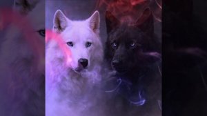 Garik Garik💥 Я Теперь Знаю,Как в Жизни Бывает☝️