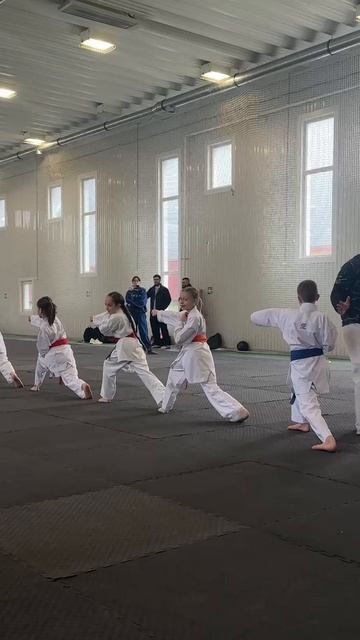 Семинар под руководством Мешева Азамата Аркадьевича