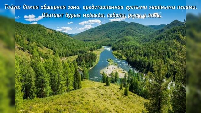 Природные зоны России