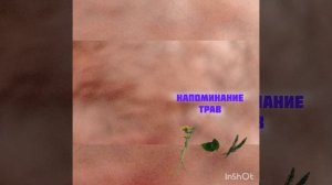 ЗАПОМНИТЕ ЭТО РАЗ И НА ВСЕГДА 3 серия