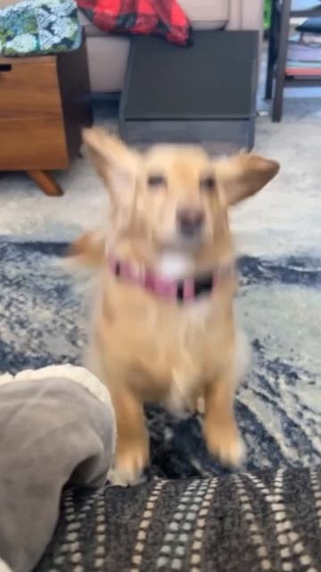 В давайте веселица☺!))