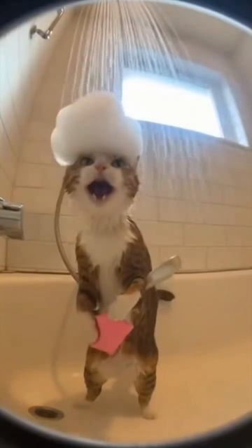 В душе с песней.