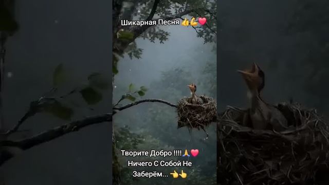 Кто падал тот понял где дно и где край (Muzkit.net) - Suno Ai