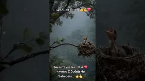 Кто падал тот понял где дно и где край (Muzkit.net) - Suno Ai