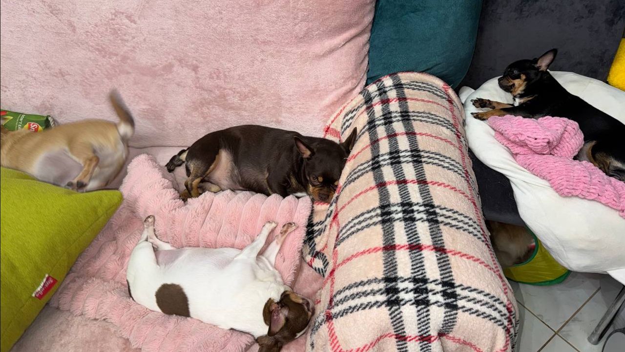 Всем самого доброго вечера и самой спокойной ночи.