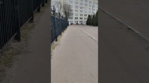 ВОТ И ЛЁХУ ДОВЕЛИ ДО БОЛЬНИЧКИ