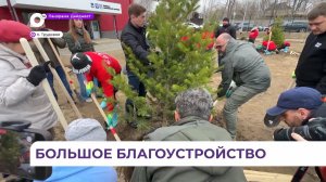 В посёлке Трудовое во время субботника масштабно подошли к озеленению