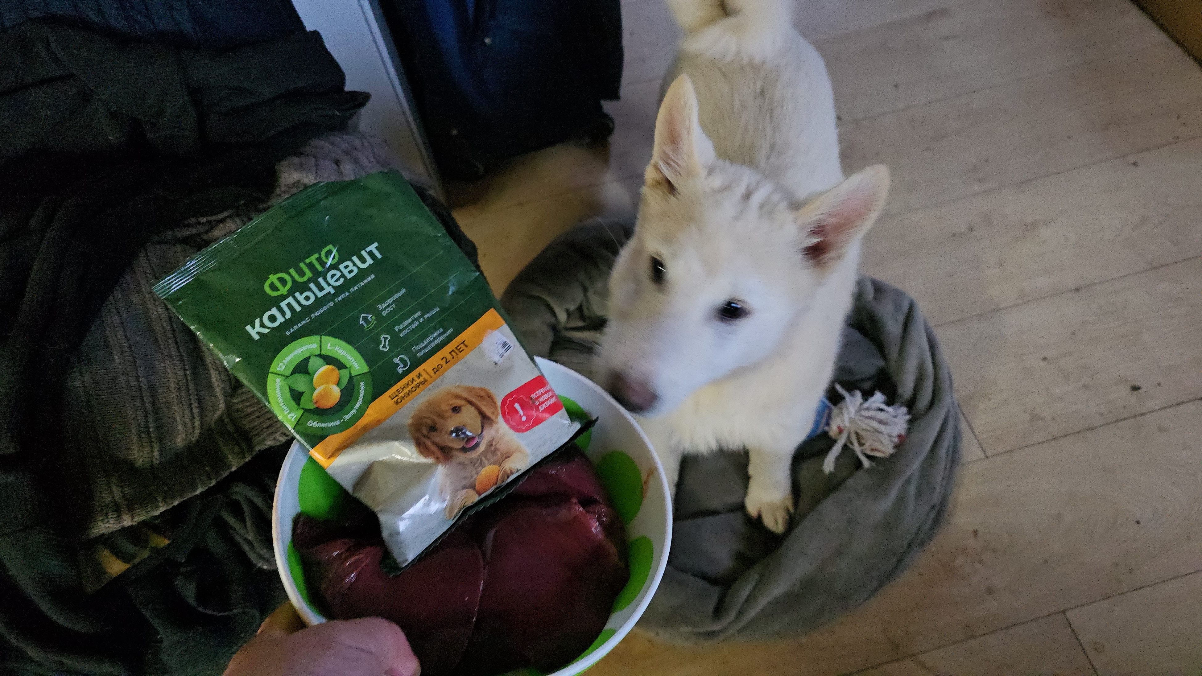 Печенка  лайкам зашла