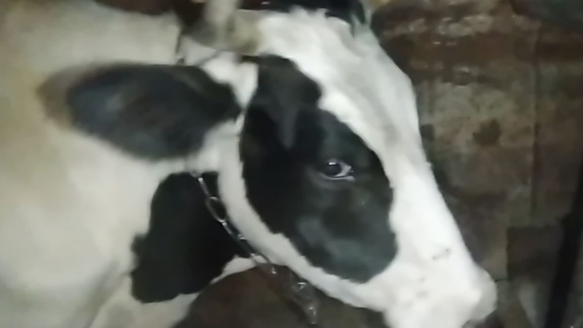 Две новости. Дожди, дожди☔