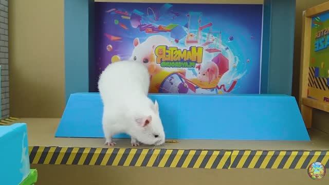 Хомячок сталкивается со свирепой акулой, убегая из лабиринта! часть 12
