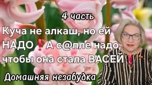 4 часть. Куча не алкаш, но ей НАДО❗️А с@пле надо, чтобы она стала ВАСЕЙ❗️