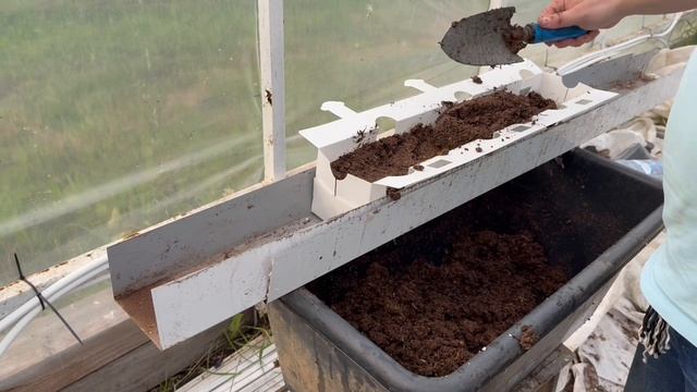 Лето 2025 сажаем клубнику в теплице / двери Mini Cooper