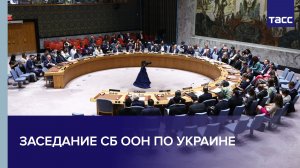 Заседание СБ ООН по Украине