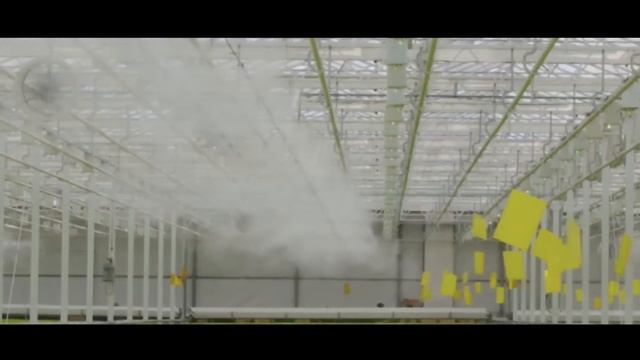 Зеленая Грядка - корпоративный фильм