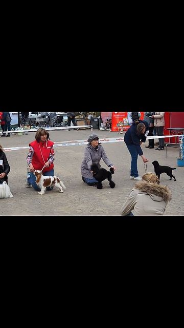 😊🫶🐩👍💖🤩🥰👑🌟