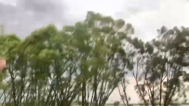 Ураган на даче