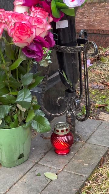 ПРОСИЛА ПОХОРОНИТЬ РЯДОМ С МАМОЙ | МОГИЛА РЕЖИССЁРА ТАТЬЯНЫ ЛИОЗНОВОЙ | ДОНСКОЕ КЛАДБИЩЕ 04.2026