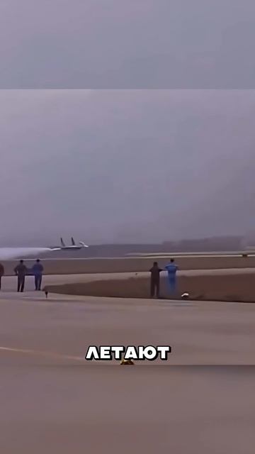 📹 Иран ПОДНЯЛ Тревогу от Русского Истpeбителя 🤯 → 👤 #MOLOTOV_TV