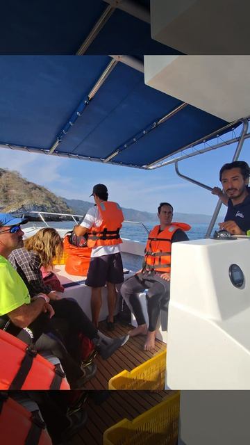 Погружение у Los Arcos рядом с Puerto Vallarta — это настоящий, живой океан.