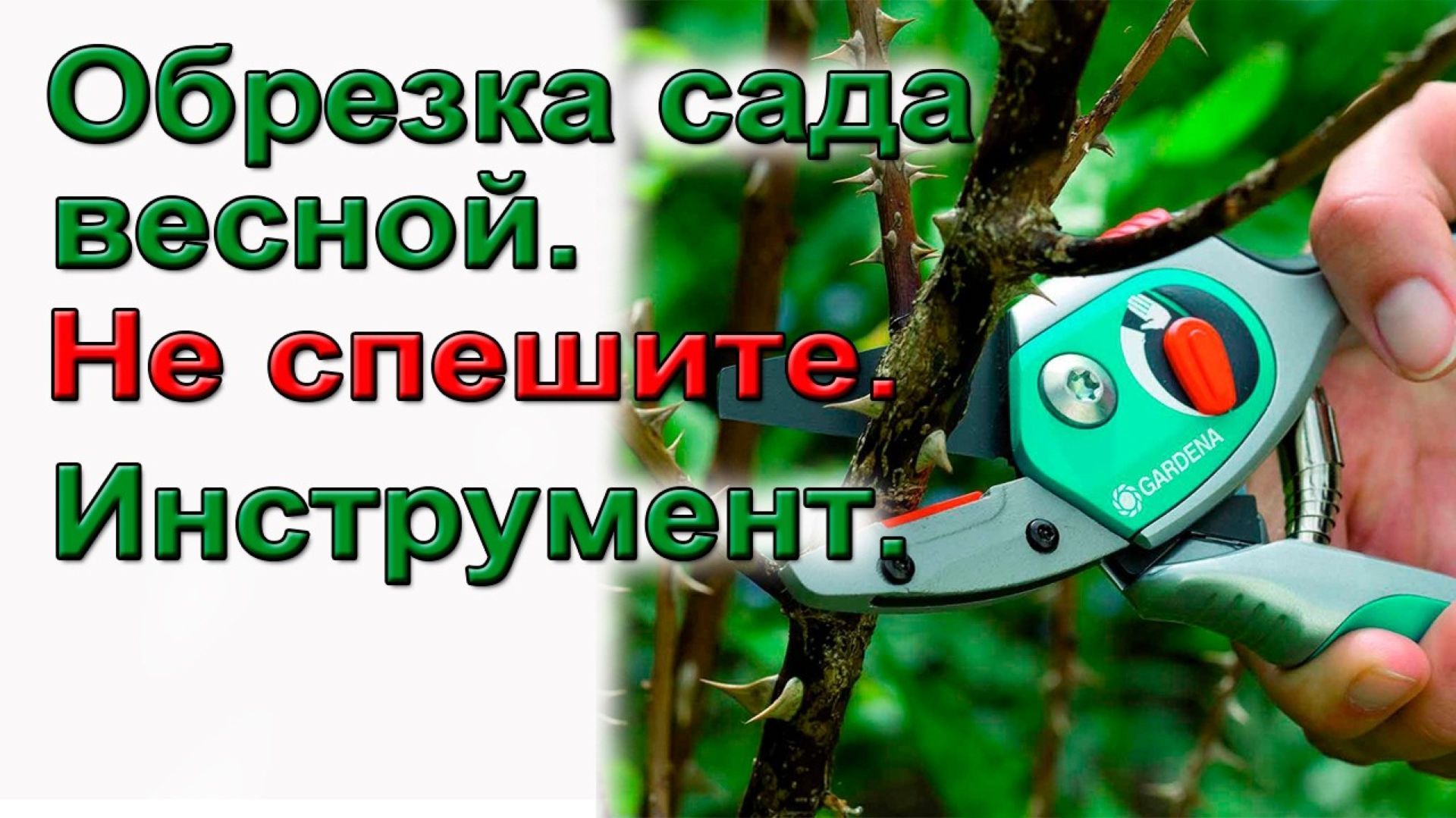 Обрезка сада на урожай. Когда и чем.