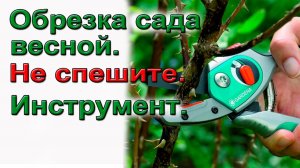 Обрезка сада на урожай. Когда и чем.