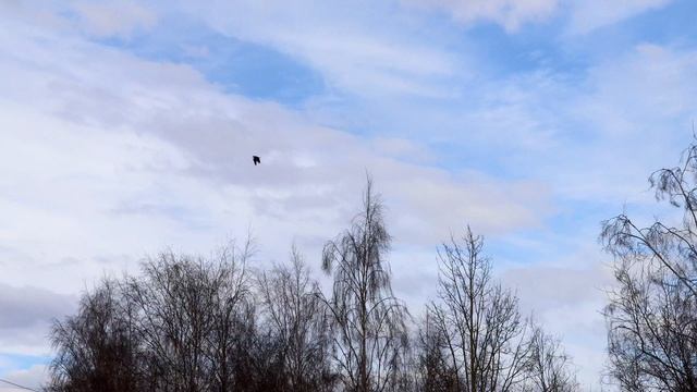 Таймлапс облаков 20.04.26