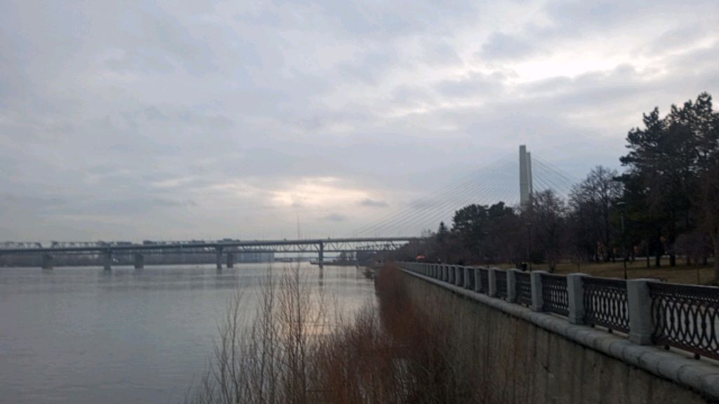 коя хорошо 👍