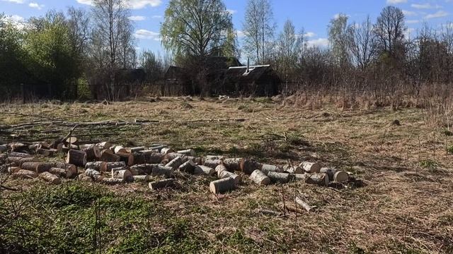 Влёсно ТВ картинки с осинками 20.04.26.mp4