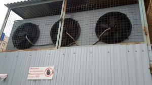 VID_20260420_185820475.mp4