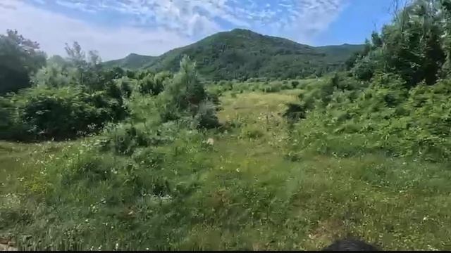 Вай вай вай вай вай - это Кавказ!