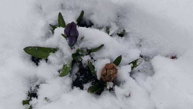 20 апреля 2026 года