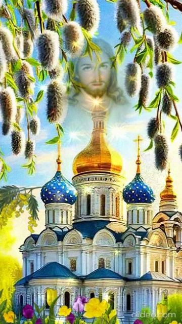 СПАСИБО ГОСПОДИ ТЕБЕ... Shorts.