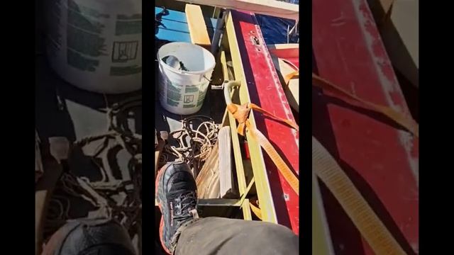 MOV_20260420_182256_989