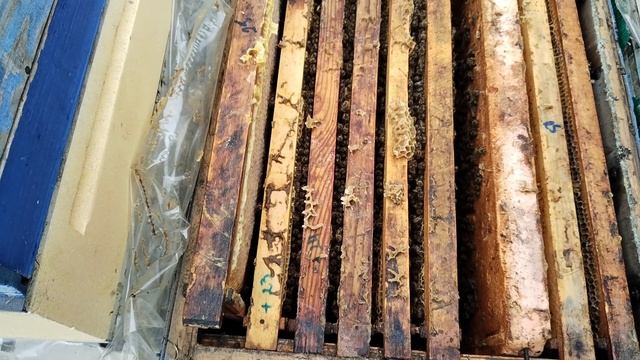 16.04.2026. Первое расширение.