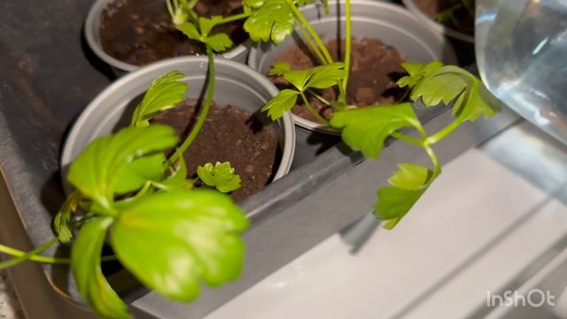 🟣ВЕЧЕРНЯЯ УБОРКА 🏠В ДОМЕ ЗА ГОРОДОМ/АСМР БЕЗ СЛОВ 🌇