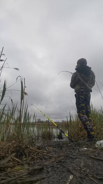 VID_20260419_093830.mp4