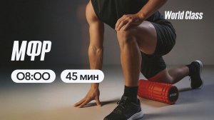 МФР с Альбертом Даниловым  | 22 апреля 2026 | Онлайн-тренировки World Class