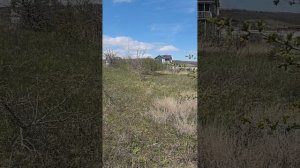 СНТ Встреча.