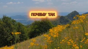 Мы так часто...