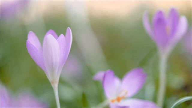 22 Апреля - Врата Архитектора реальности.