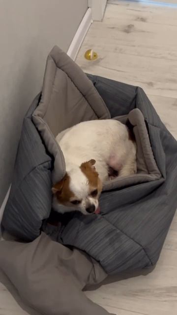 Утро понедельника 😁